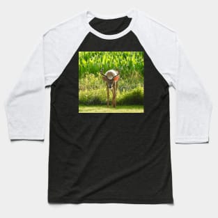 Whitetail Deer, Wild Animals, Wildlife Photography, Gifts Baseball T-Shirt